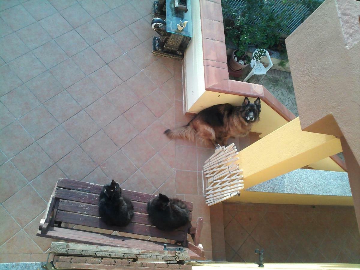 B&B Villa Sul Golfo Quartu Sant'Elena Ngoại thất bức ảnh